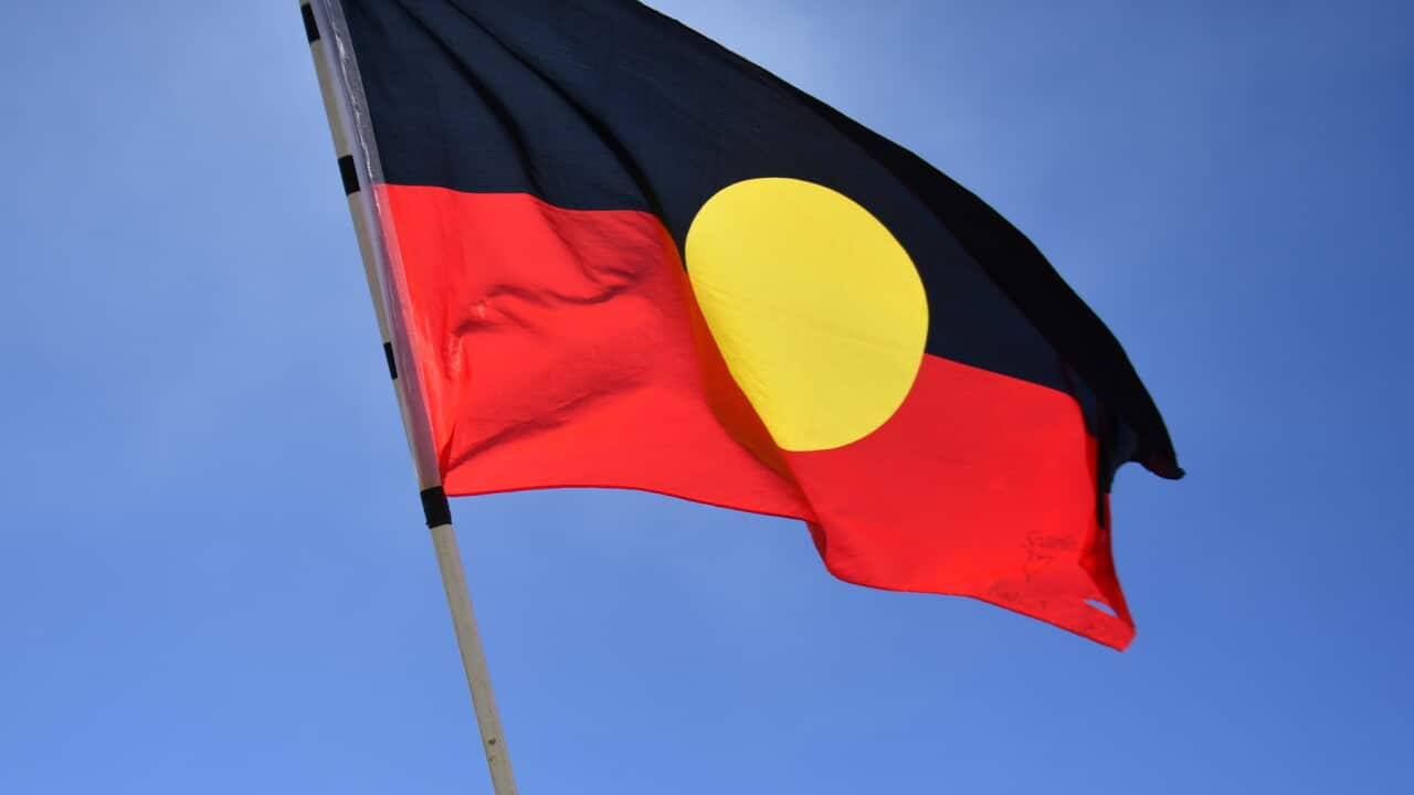 A video of a racialised verbal attack against an Aboriginal artist, including an attempt to remove an Aboriginal flag, has gone viral.