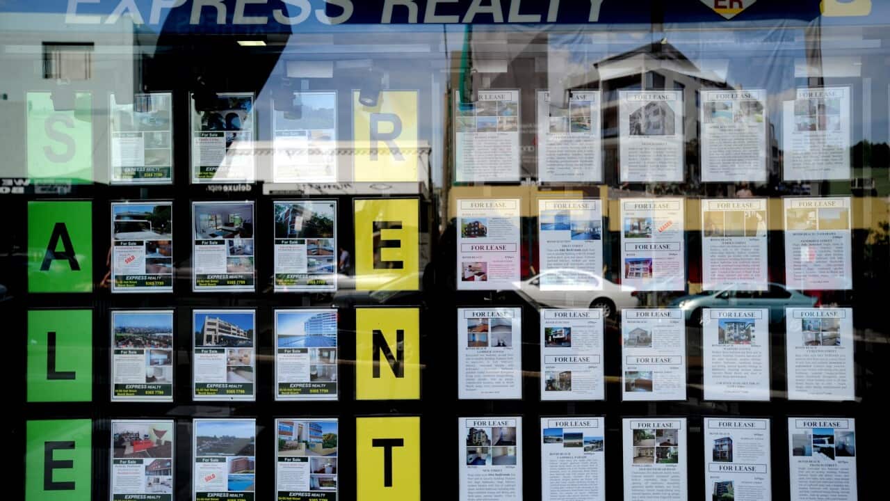 REAL ESTATE AGENT STOCK