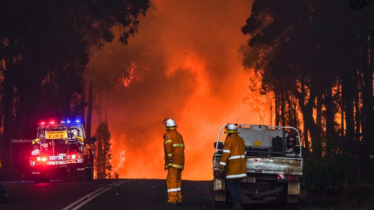 BUSHFIRES WA