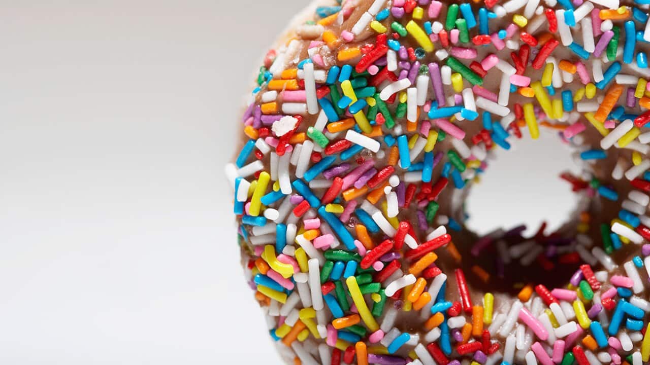 Doughnut
