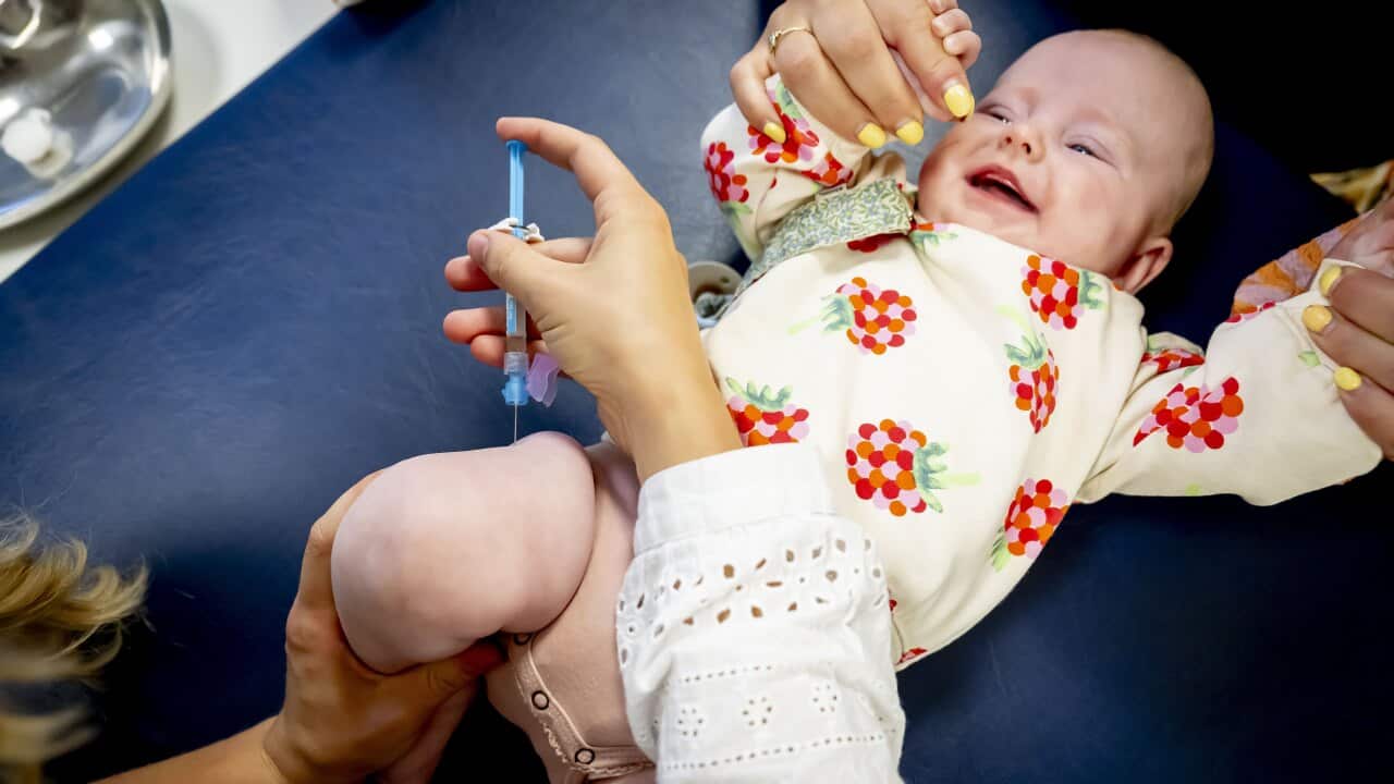 babies are vaccinated
