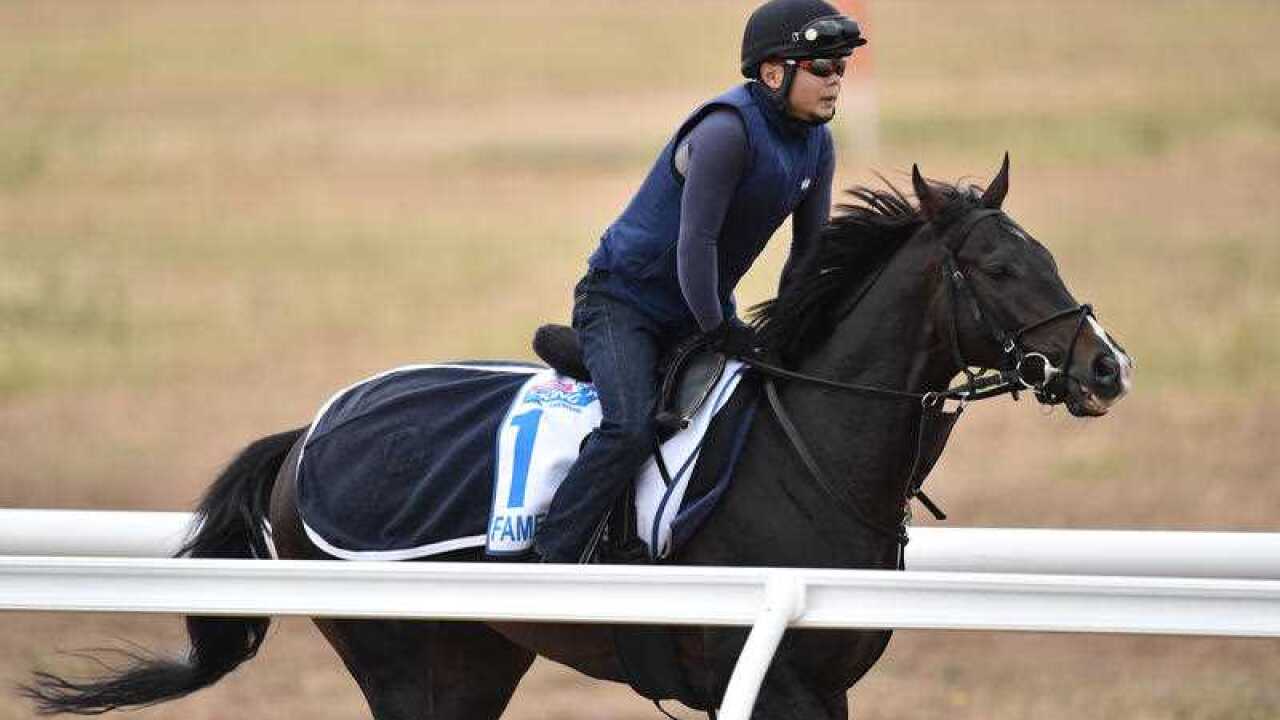 Melbourne Cup favourite Fame Game.