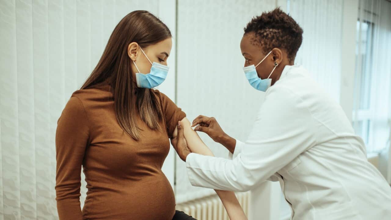 African American female doctor preparing a pregnant woman for vaccination