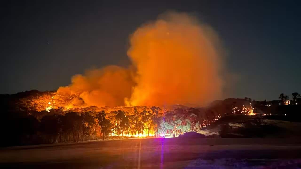 Image for read more article 'READ MORE'