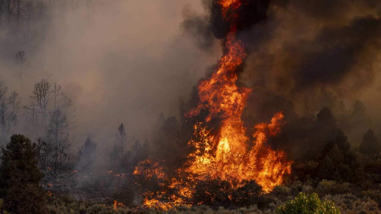 The Bobcat fire burns a hillside in the Angeles National Forest in California.