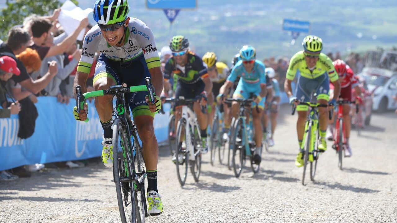 Esteban Chaves,Orica-Greenedge,Giro ditalia