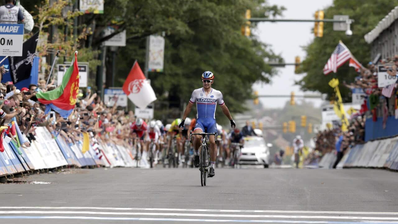 Peter Sagan, UCI Road World Championships