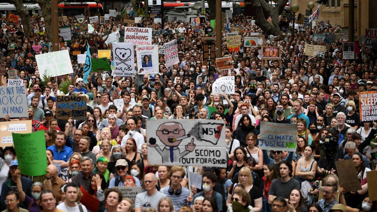 Climate change, environment, protests and demonstrations,