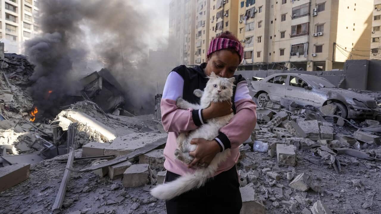 Image for read more article 'नेपालीमा पढ्नुहोस्'