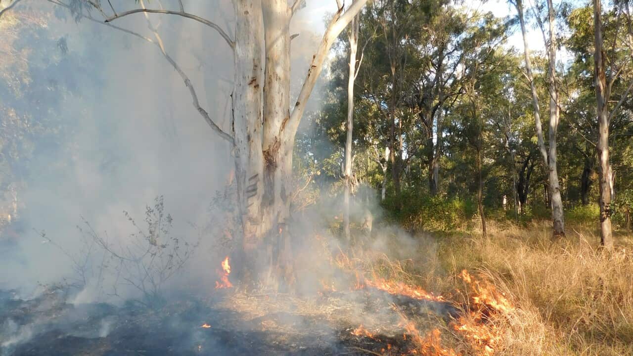 Indigenous groups have been calling for a change to how land is managed as Australia recovers from some of the worst bushfires on record.