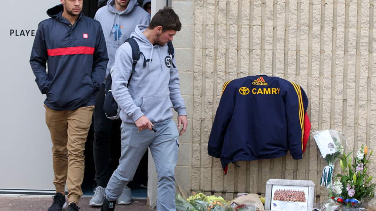 Adelaide Crows player L-R Cam Ellis-Yolmen and Mitch Grigg