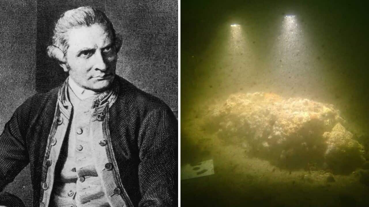 Captain Cook and the recent dive.