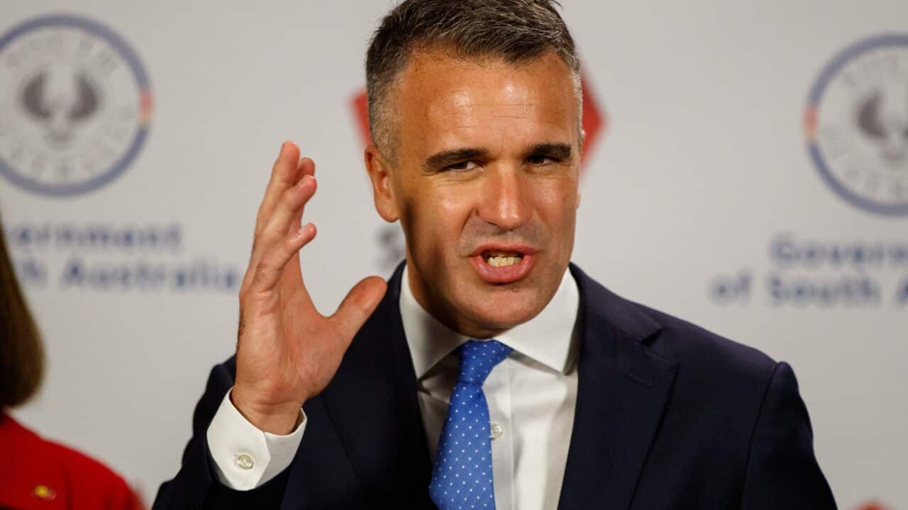 South Australia's Premier Peter Malinauskas (AAP).jpg