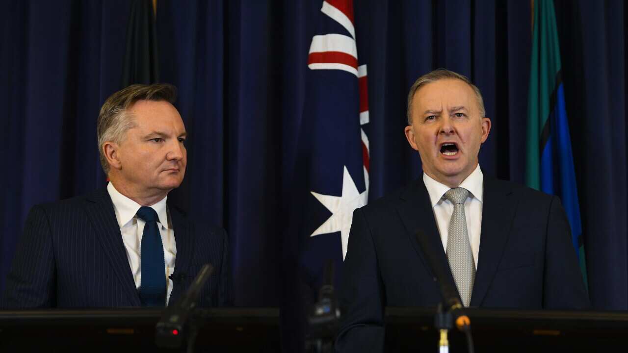Australian Opposition Leader Anthony Albanese (right) and shadow Minister for Climate Change and Energy Chris Bowen