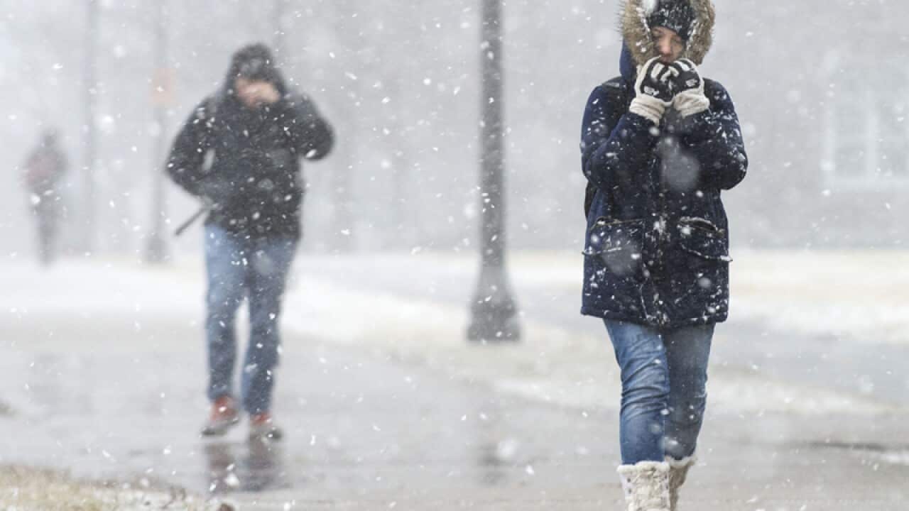 falling snow on the UI campus in Urbana, Ill.