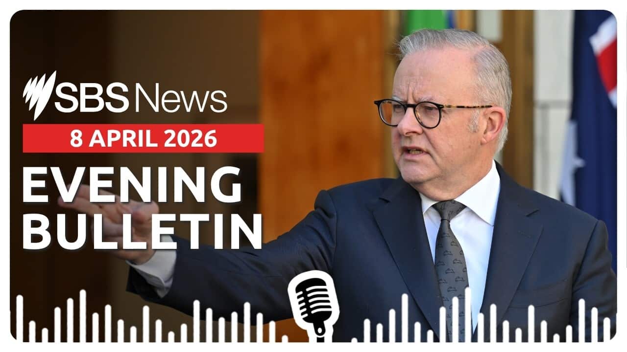 AFTERNOON BULLETIN 080426.jpg