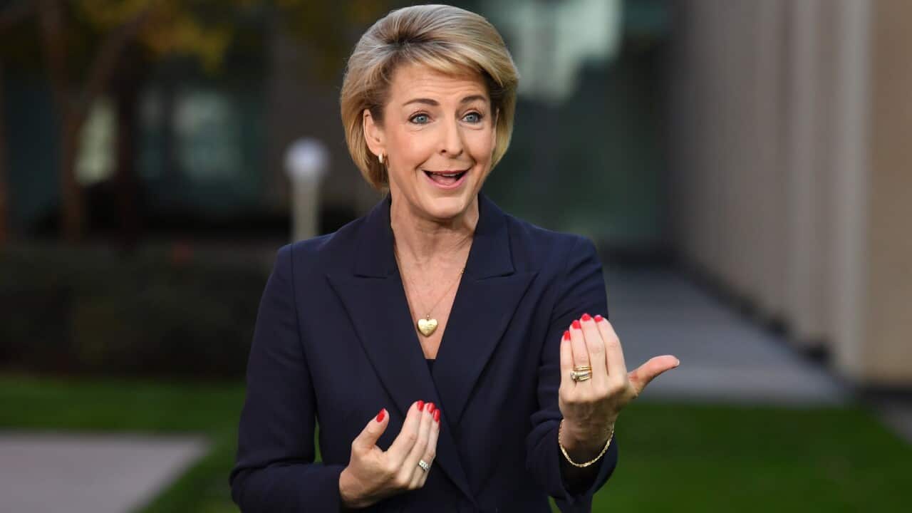 Employment Minister Michaelia Cash
