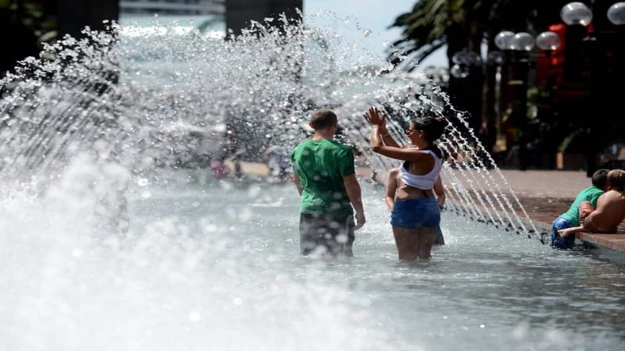 heatwave, Sydney's wes