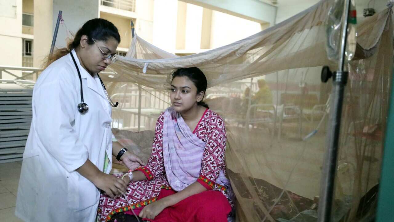 Dengue Cases Increase In Bangladesh