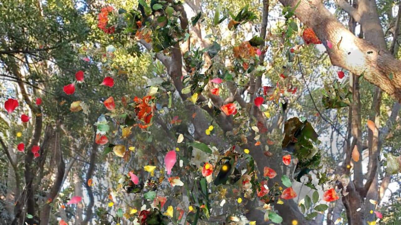 exhibition at the Royal Botanic Gardens Victoria.