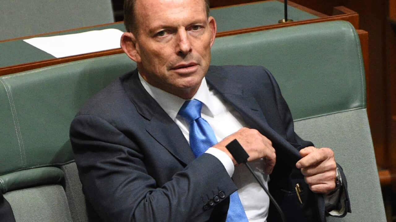 Former prime minister Tony Abbott