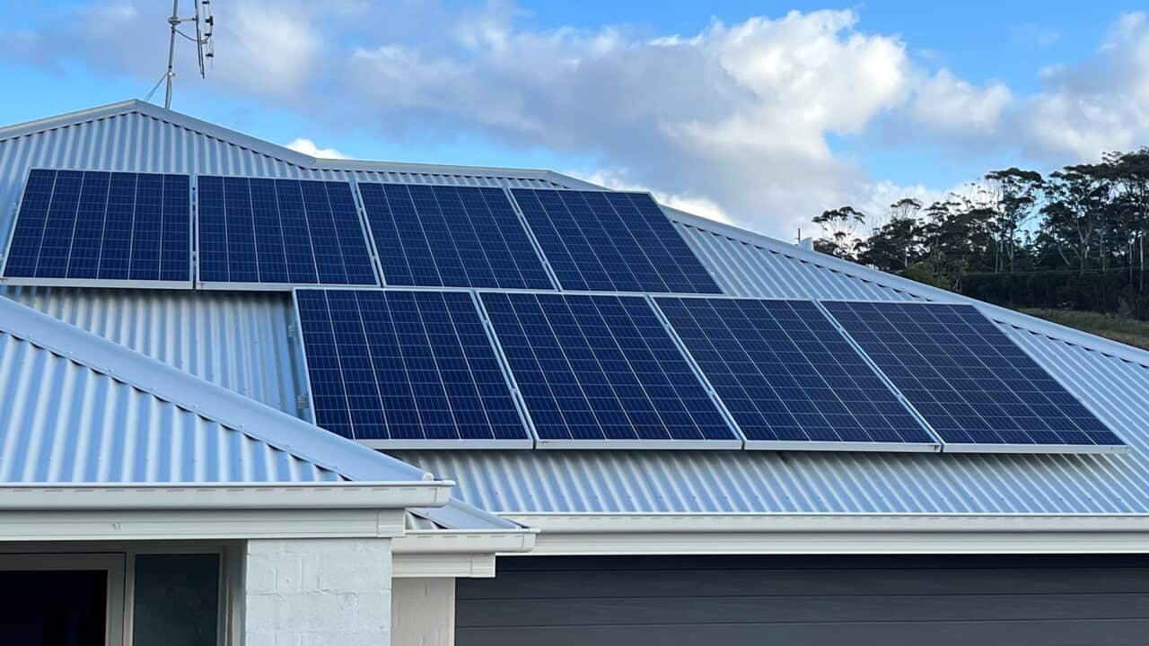 Image for read more article 'READ MORE'