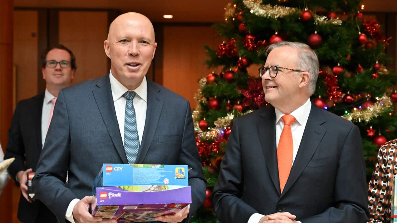 ANTHONY ALBANESE WISHING TREE