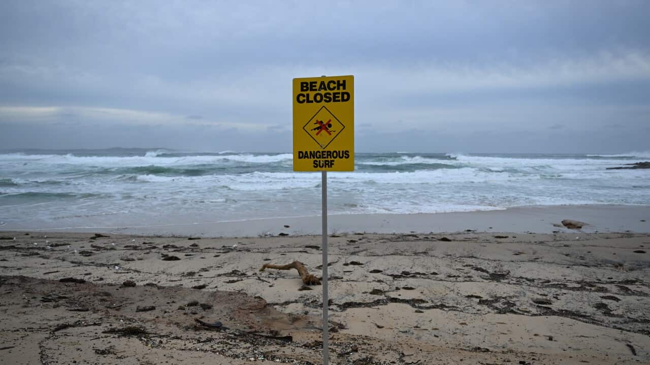 Image for read more article ''