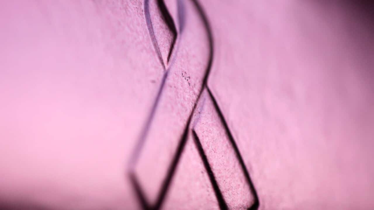 pink_ribbon_s_120307_aap_781260684