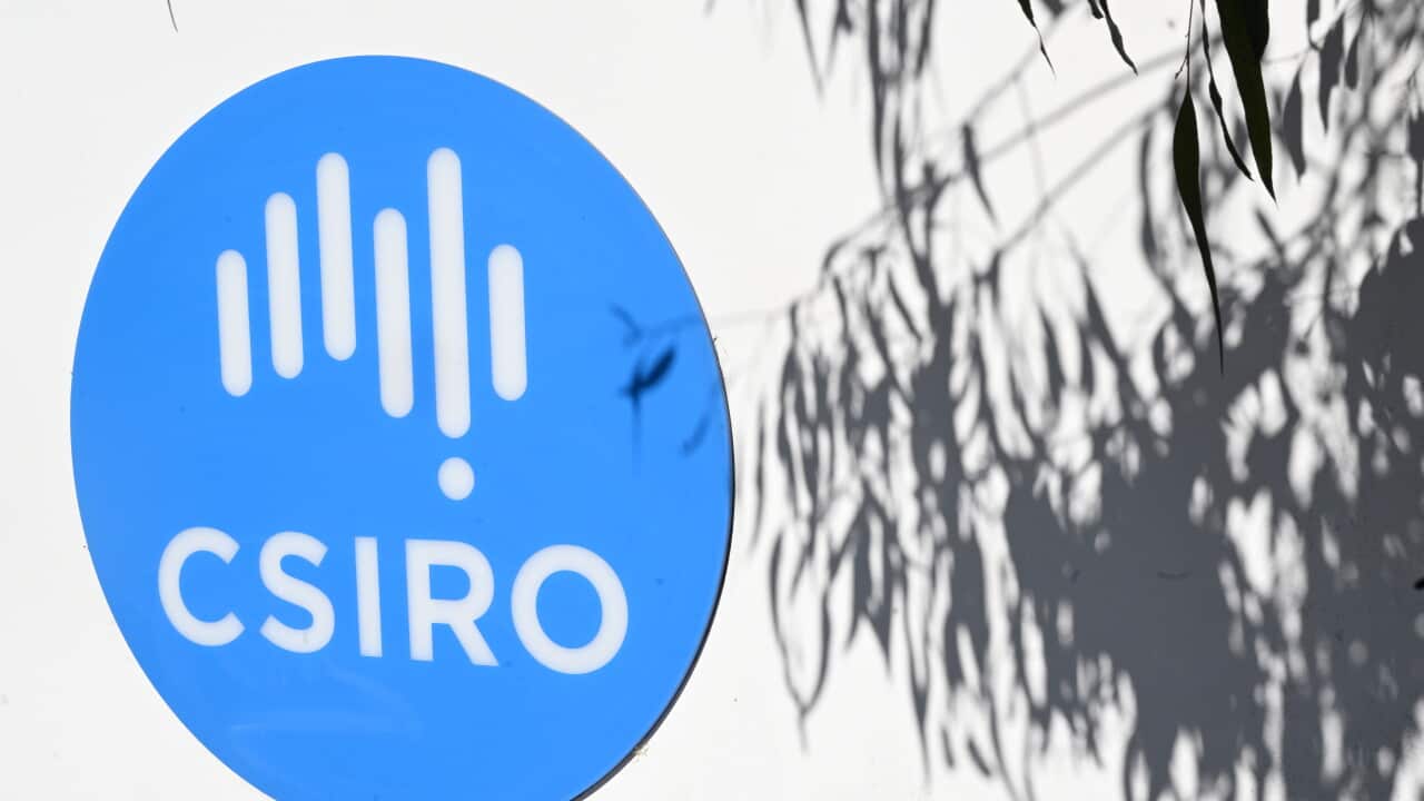 CANBERRA CSIRO STOCK