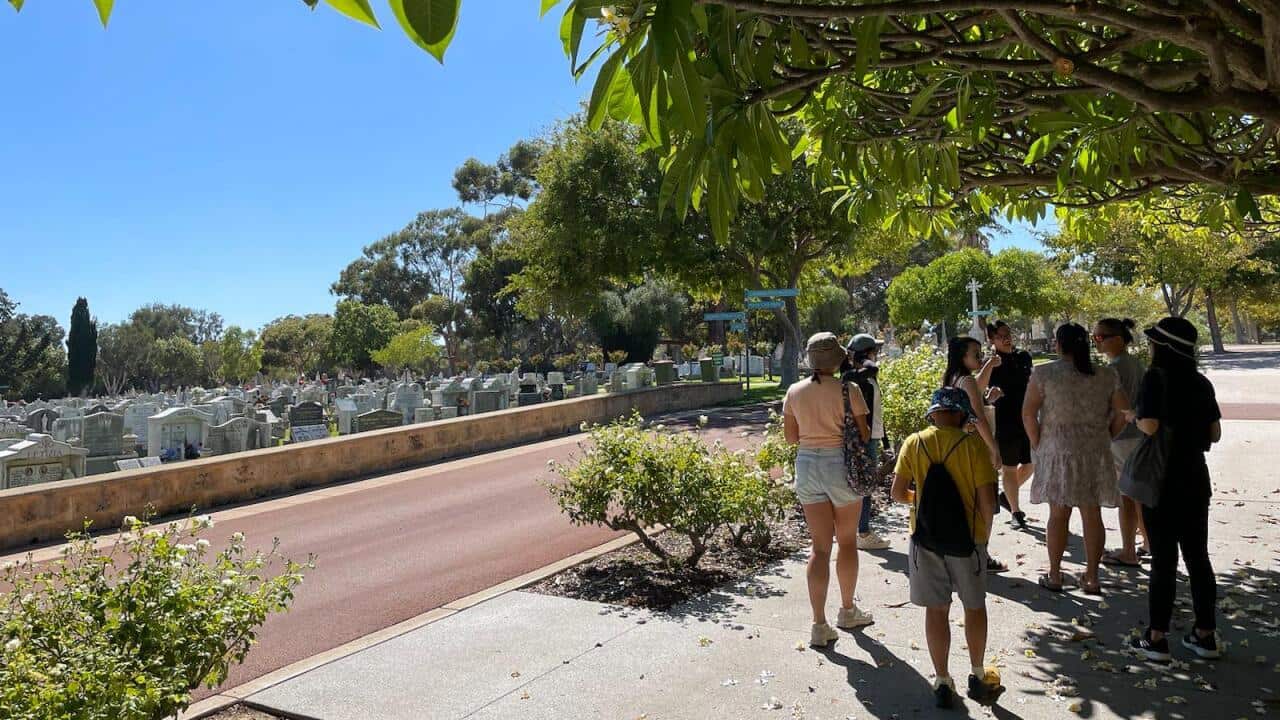 Image for read more article ''