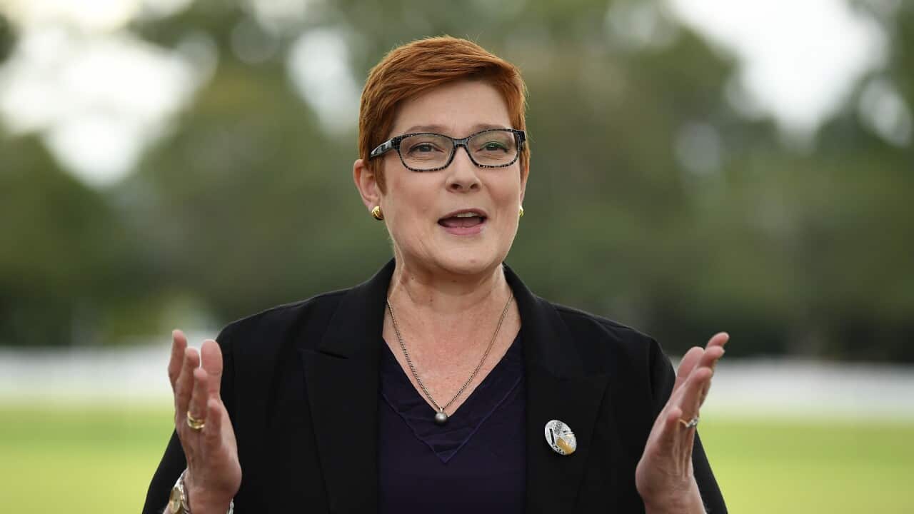 Federal Foreign Minister Marise Payne speaks to the media at Penrith in Sydney, Monday, May 18, 2020. (AAP Image/Joel Carrett) NO ARCHIVING