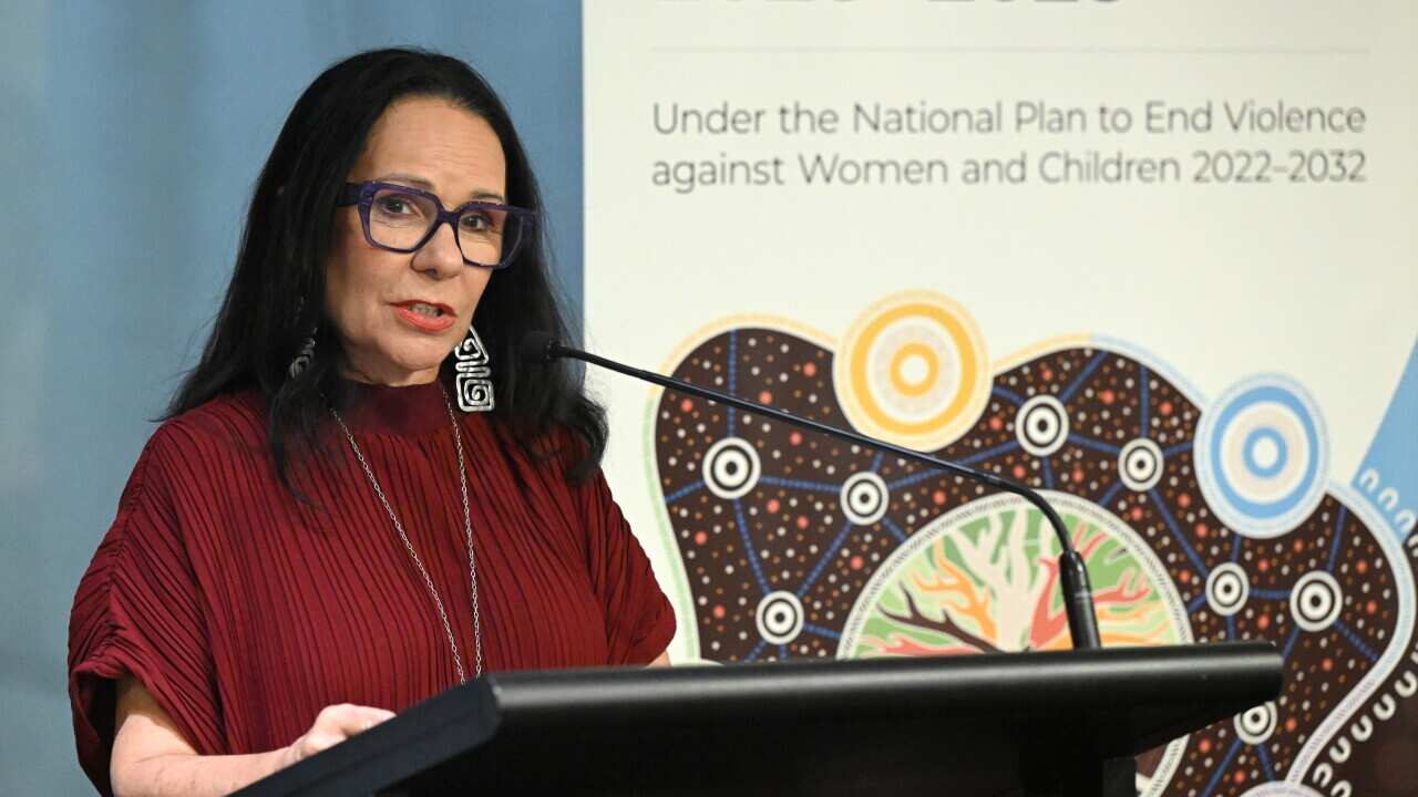 FAMILY VIOLENCE ACTION PLAN LAUNCH