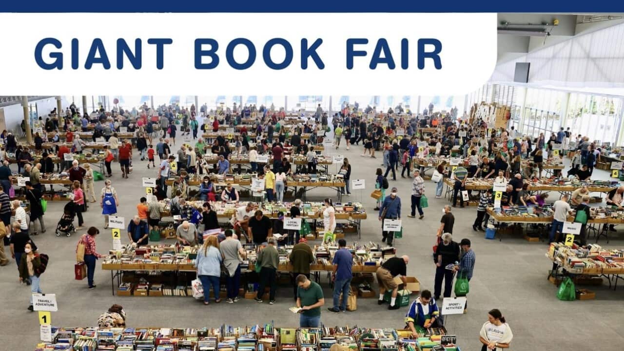 Image for read more article ''