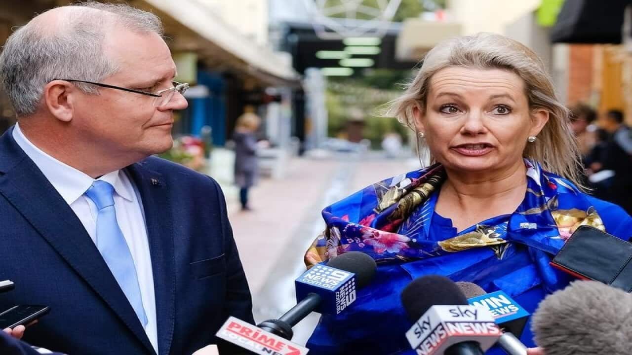 Liberals frontbencher Sussan Ley speaks to media with Scott Morrison.