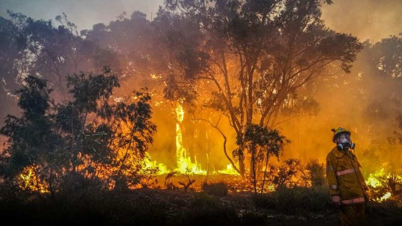 Bushfires Wa Risks Two WA bushfires contained, but risk remains from burning embers | SBS News