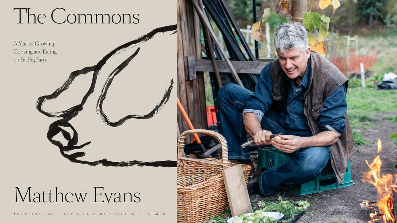 The Commons competition Matthew Evans