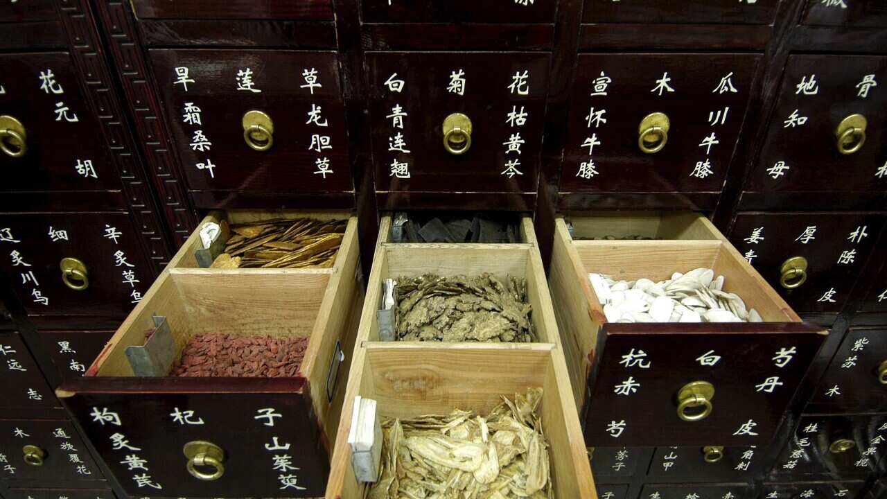 Traditional Chinese medicine at Tongrentang, the oldest shop in the Qianmnen district in south Beijing