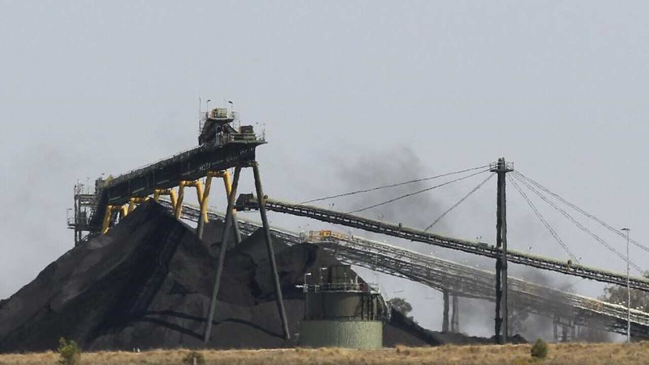Whitehaven Coal