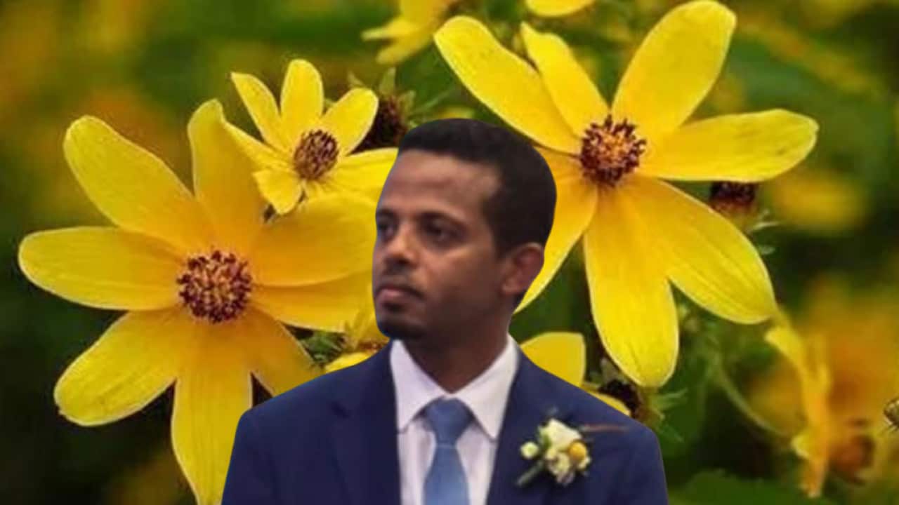 Amb Anuwar Muktar.png