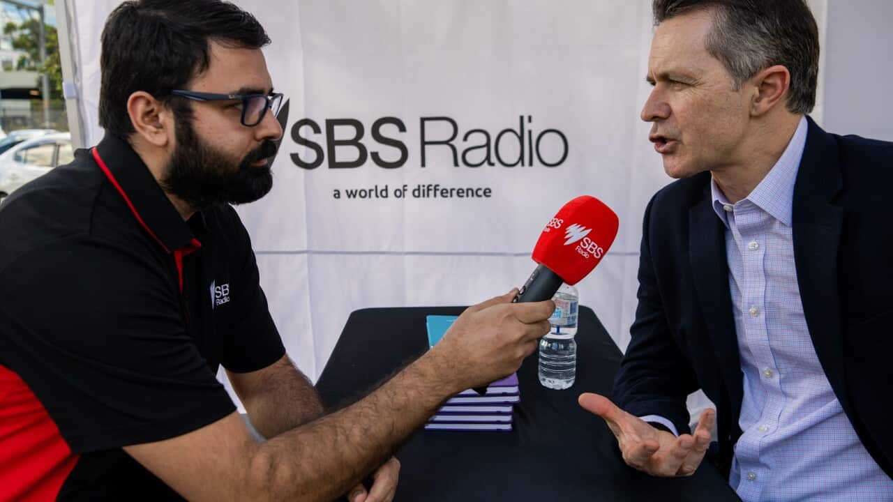 What migrant communitites think about this election