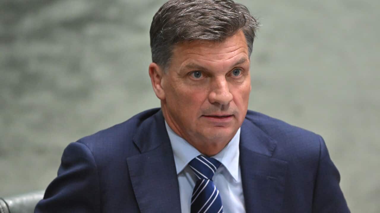 Australian Prime Minister Anthony Albanese speaks to media during a press conference (AAP).png