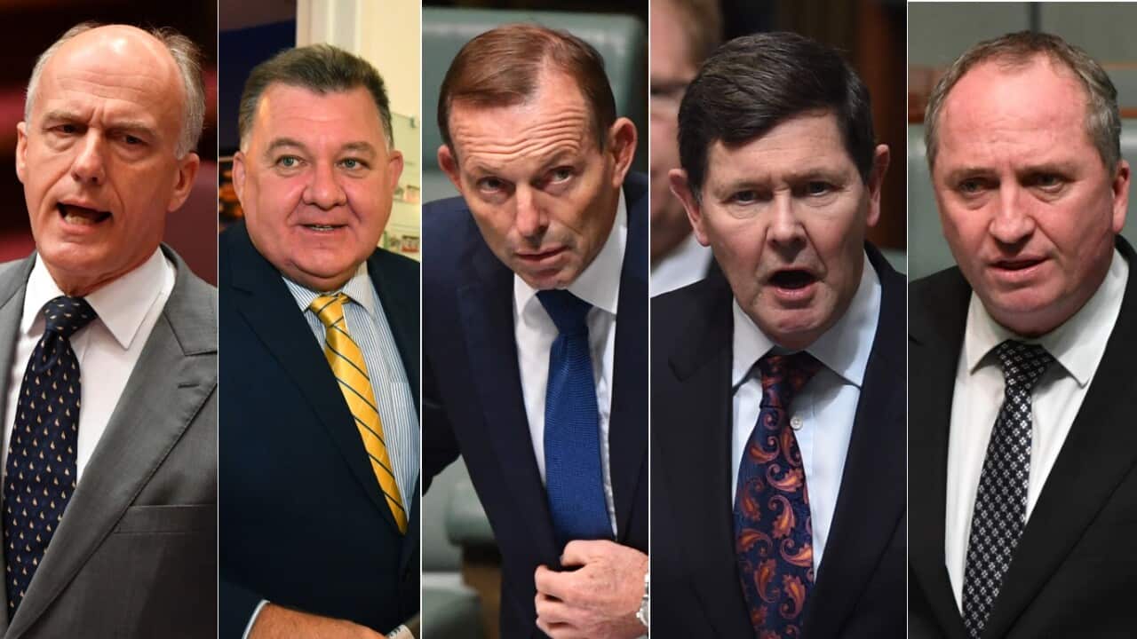 Combination image of MPs Eric Abetz, Craig Kelly, Tony Abbott, Kevin Andrews and Barnaby Joyce 