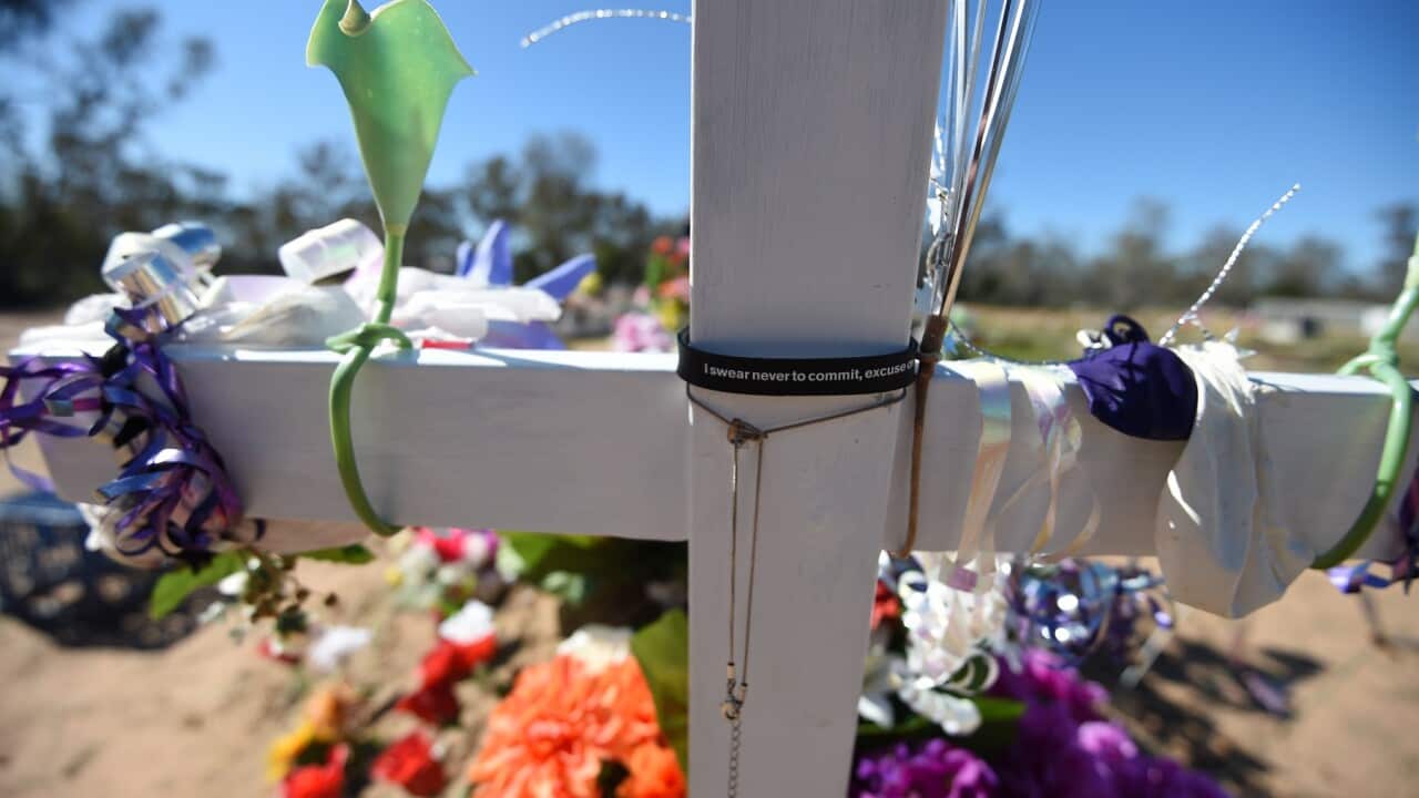 ABORIGINAL DOMESTIC VIOLENCE