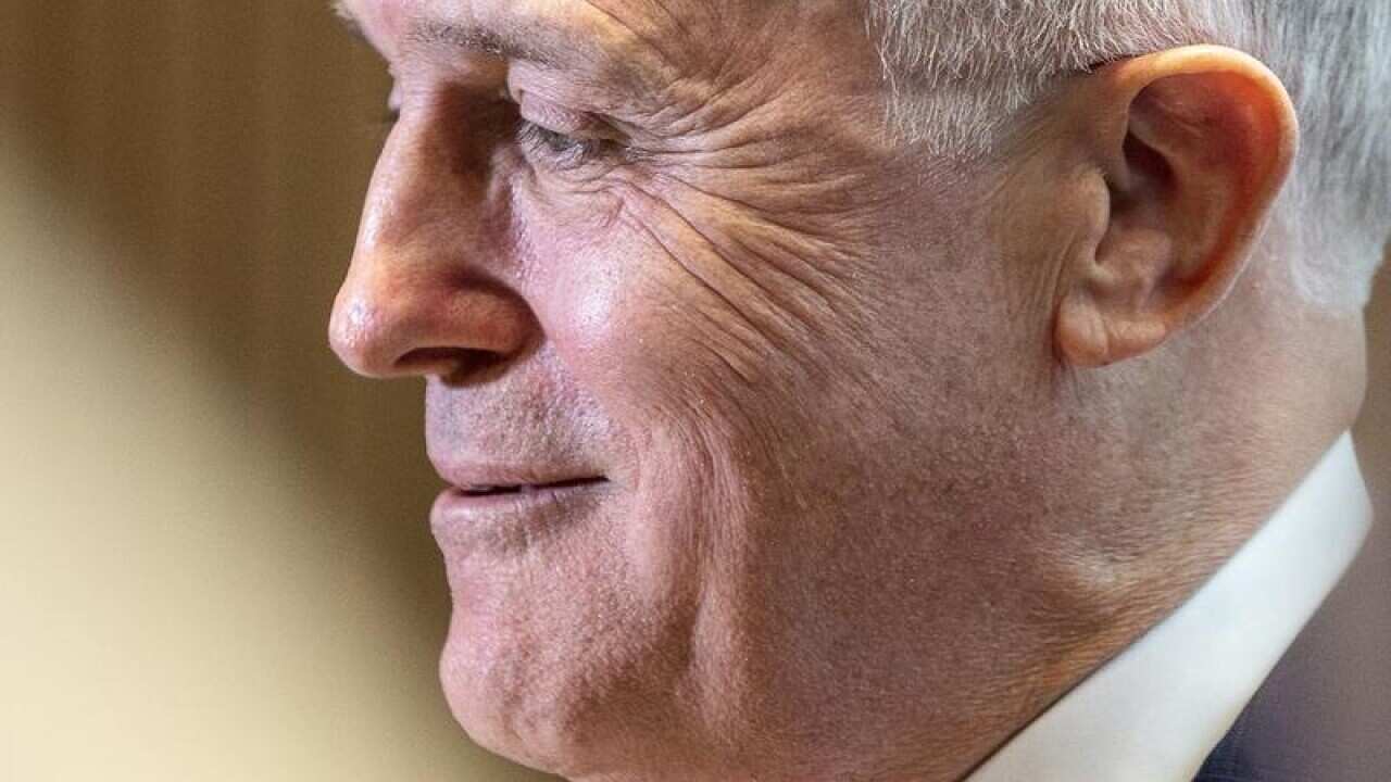 Malcolm Turnbull has backed the LNP candidate.