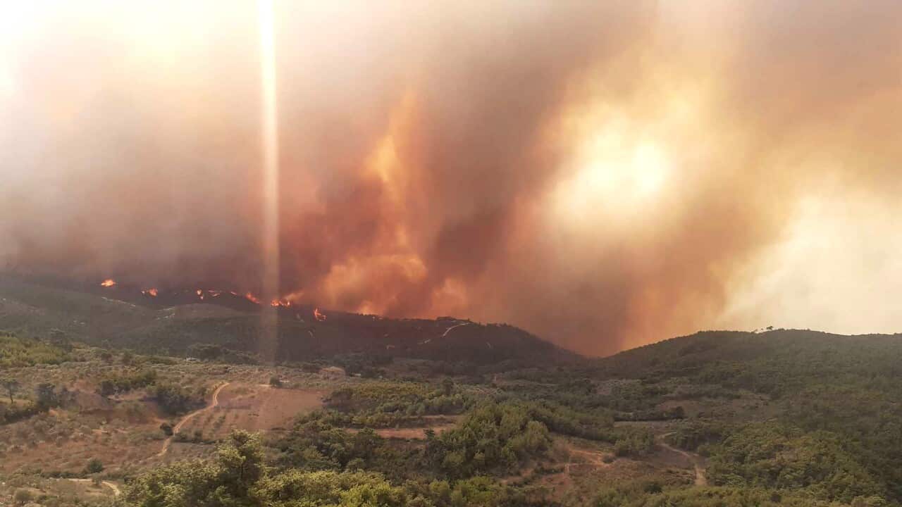 A handout photo made available by Syrian Arab News Agency shows flames of fire raging in Latakia, Syria, 9 October 2020