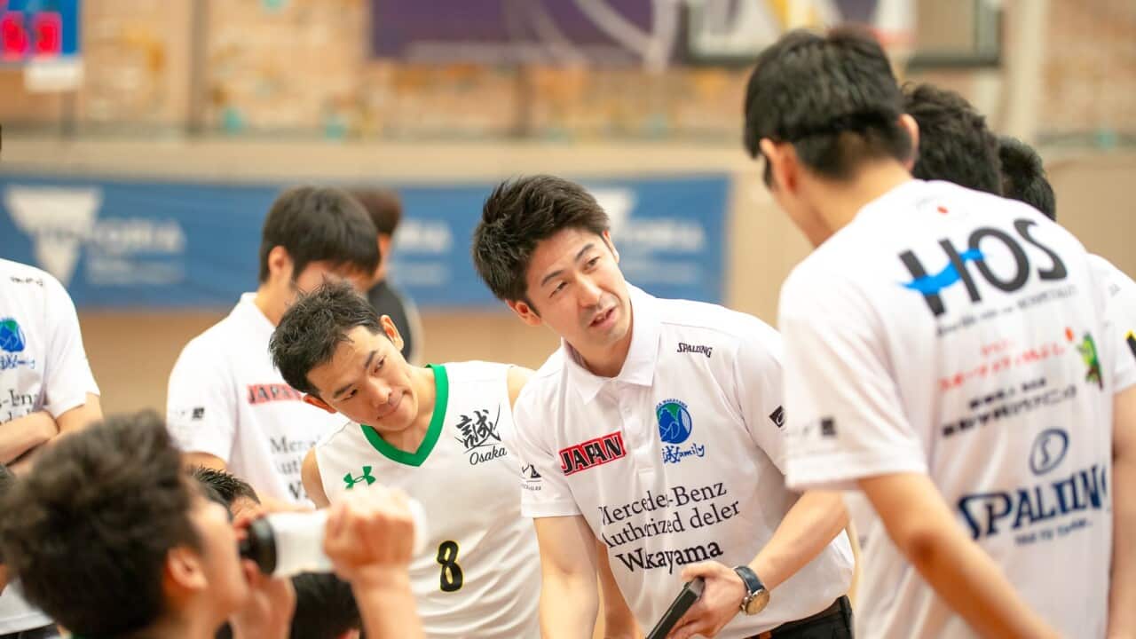 Image for read more article 'related article'