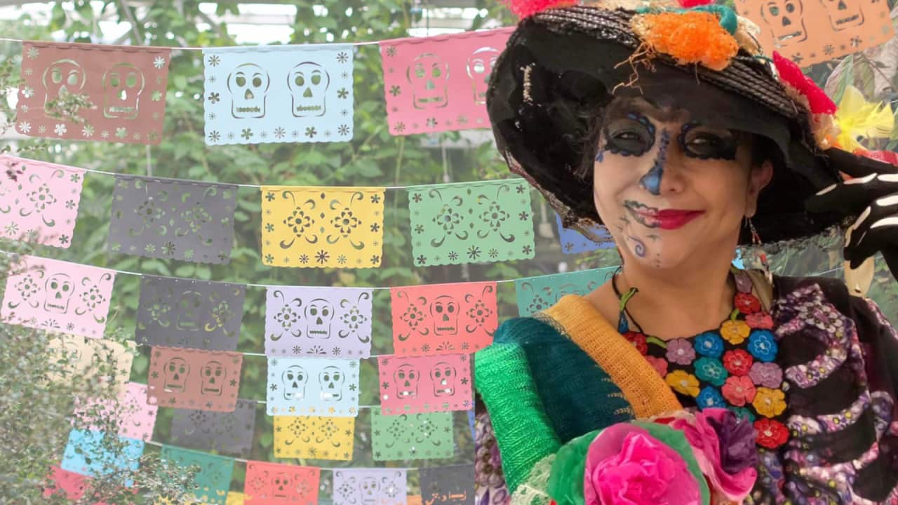SBS South Asian - YouTube Thumbnail - Organic.png