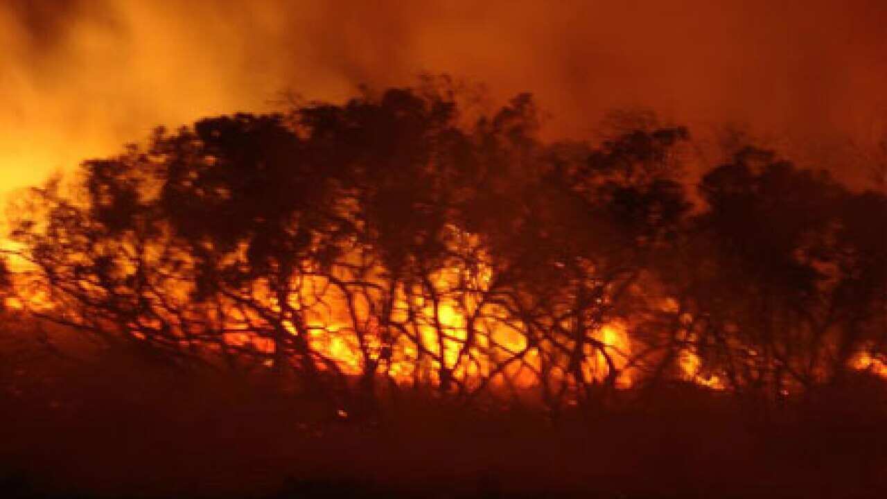 bushfires_B_1301_aap_1055134896