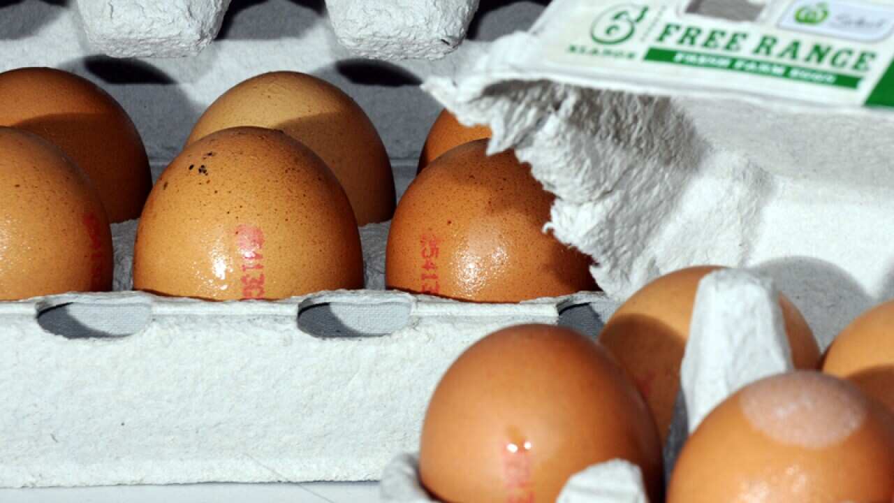 Free range eggs